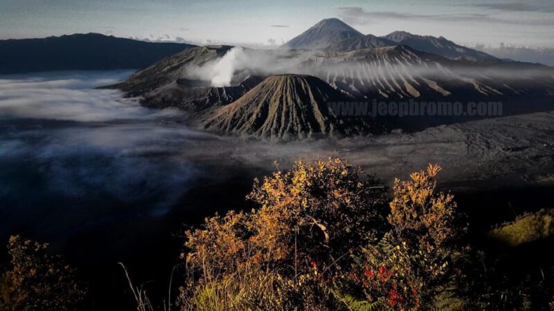 Private Bromo Tour Start From Malang - 1D - Itinerary and Highlights