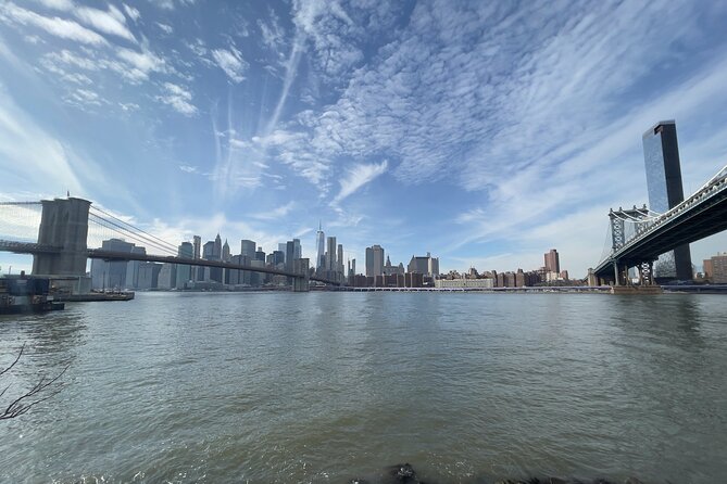 Private Brooklyn and Manhattan Bridges Walking Tour - Tour Reviews