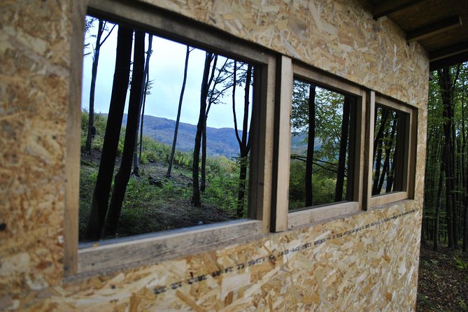 Private Brown Bear Watching Tour From Praid - Included in the Tour