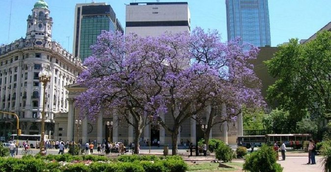 Private Buenos Aires City Tour From Cruise Terminal - Key Attractions