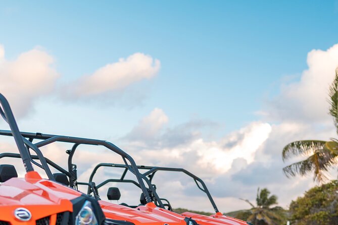 Private Buggy Excursion in Guadeloupe - Inclusions and Exclusions
