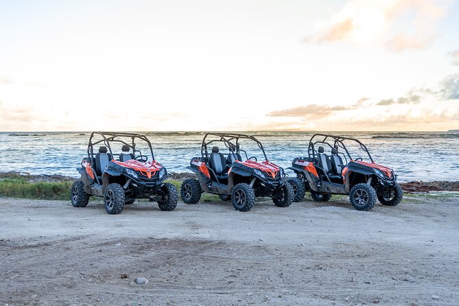 Private Buggy Excursion in Guadeloupe - Health and Safety Considerations