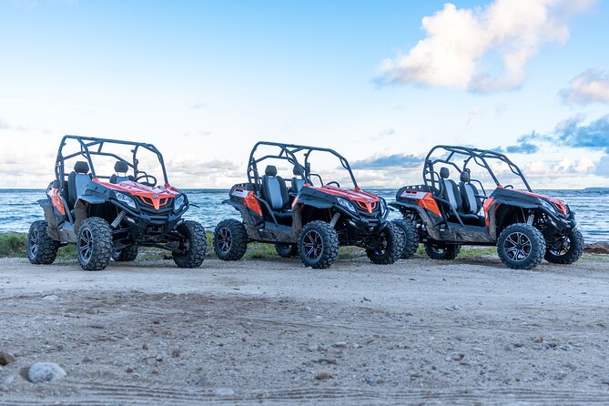 Private Buggy Excursion in Guadeloupe - Highlights of the Excursion