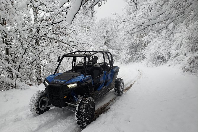 Private Buggy Experience All Seasons in Pamporovo - Quick Points