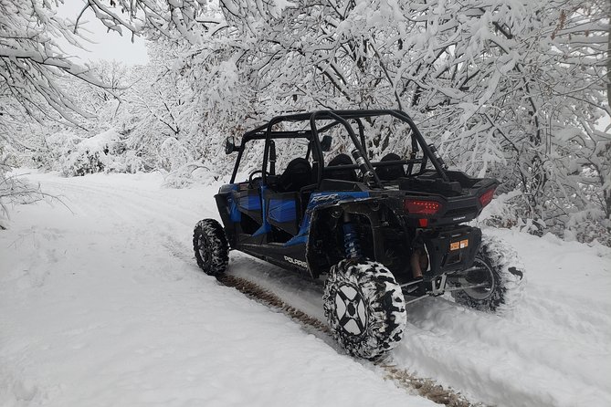Private Buggy Experience All Seasons in Pamporovo - Exciting Buggy Features