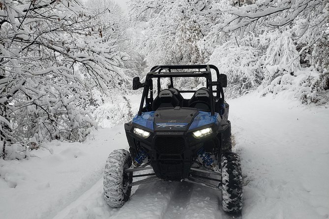 Private Buggy Experience All Seasons in Pamporovo - Convenient Pickup and Drop-off