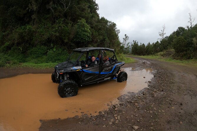 Private Buggy Off-Road Tour - Health and Safety Restrictions