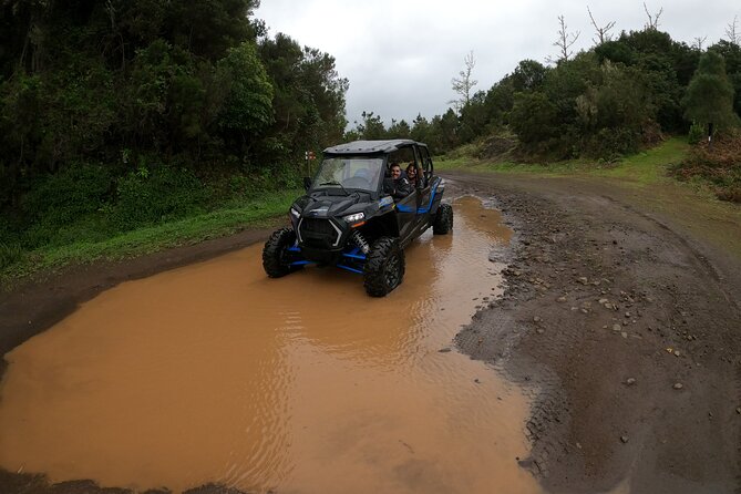 Private Buggy Off-Road Tour - Customer Reviews