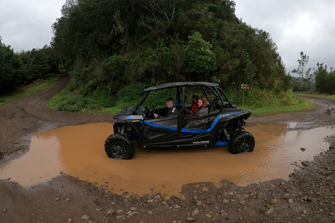 Private Buggy Off-Road Tour - Explore Madeiras Rugged Terrain