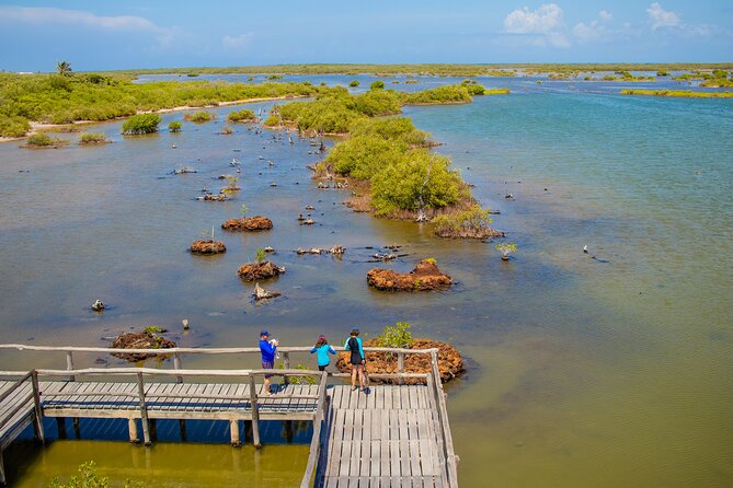Private Buggy Tour and Punta Sur Park: All-Inclusive - Beach Activities at Cocos Beach Club