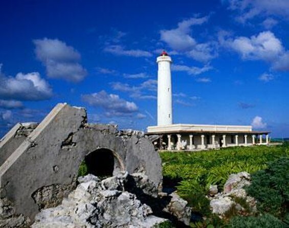 Private Buggy Tour and Punta Sur Park in Cozumel - Key Points