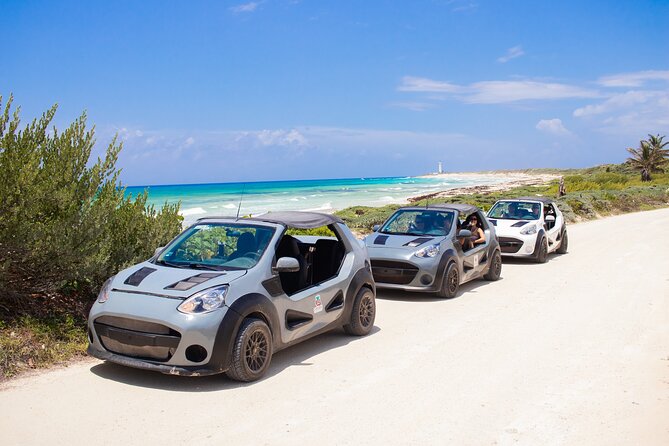 Private Buggy Tour and Punta Sur Park in Cozumel - Pricing Details and Policies