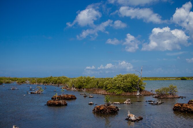 Private Buggy Tour and Punta Sur Park in Cozumel - Included Attractions and Activities