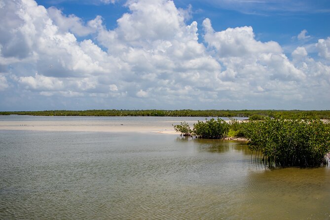 Private Buggy Tour and Punta Sur Park in Cozumel - Traveler Reviews and Experiences