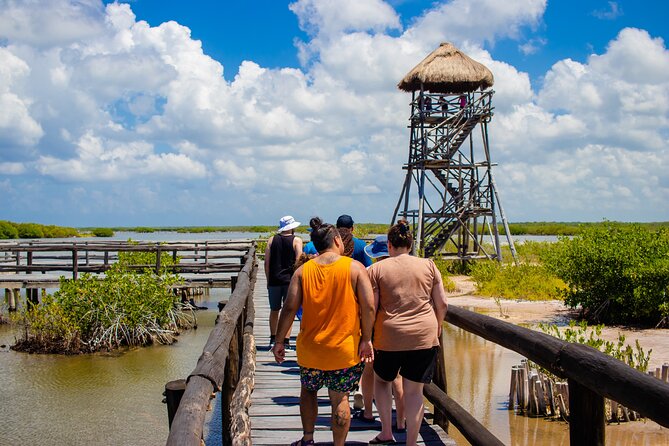 Private Buggy Tour and Punta Sur Park in Cozumel - Tips for a Great Tour
