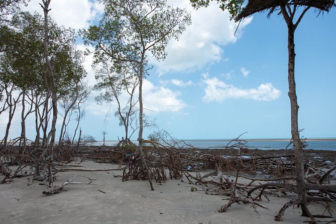 Private Buggy Tour To Tatajuba Beach - Exploring the Guriú River