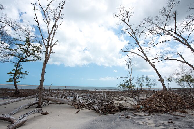Private Buggy Tour To Tatajuba Beach - Insights on Community Relocation