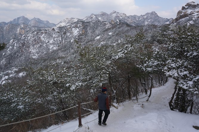 Private Bukhansan Hiking Tour (More Members Less Cost per Person) - Hassle-free Hotel Pickup and Drop-off