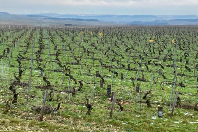 Private Burgundy 4 Domains 20 Chablis Wines Caves From Paris - Frequently Asked Questions