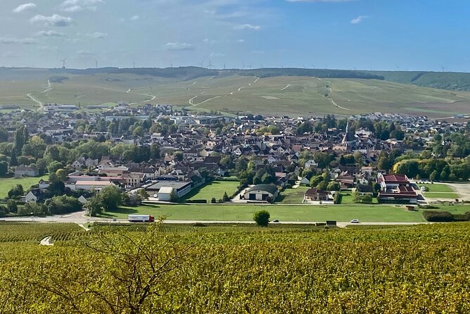 Private Burgundy 4 Domains 20 Chablis Wines Tasting From Paris - Tasting With Local Producers