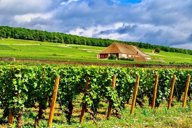 Private Burgundy 4 Domains 20 Chablis Wines Tasting From Paris - Maison Régnard Chablis Visit