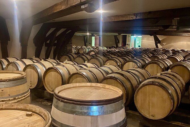 Private Burgundy 4 Domains 20 Chablis Wines Tasting From Paris - Transportation and Logistics