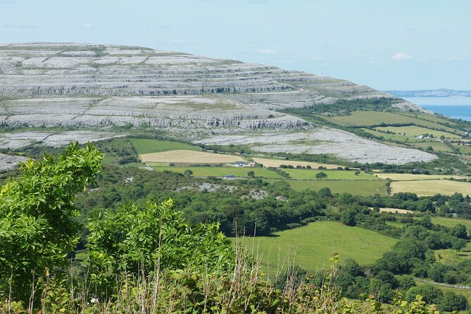 Private Burren and Cliffs of Moher Full Day Tour - Reviews