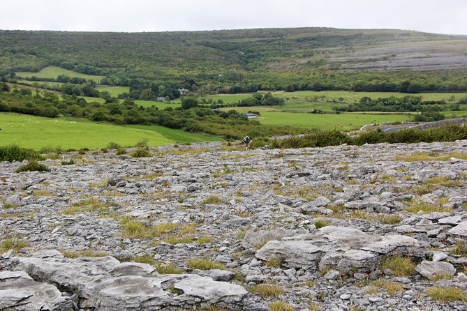 Private Burren and Cliffs of Moher Full Day Tour - Highlights