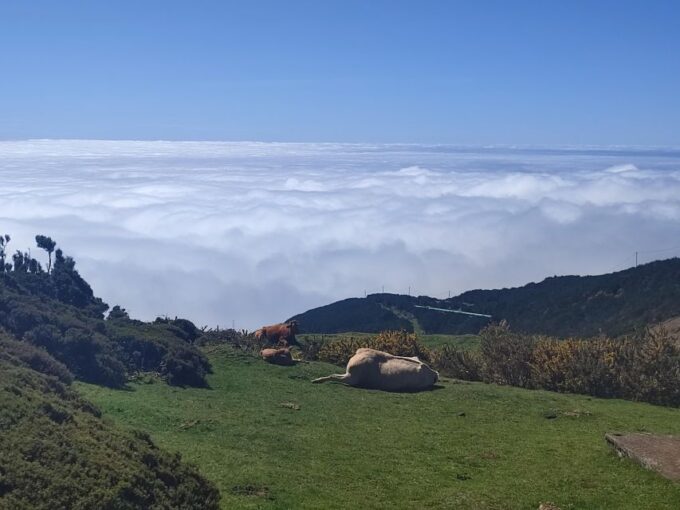 Private - Bus 19 Seater - Frequently Asked Questions