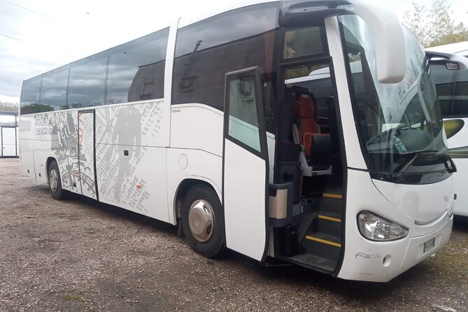 Private Bus From Chioggia Cruise Port to Venice, Piazzale Roma - Key Points