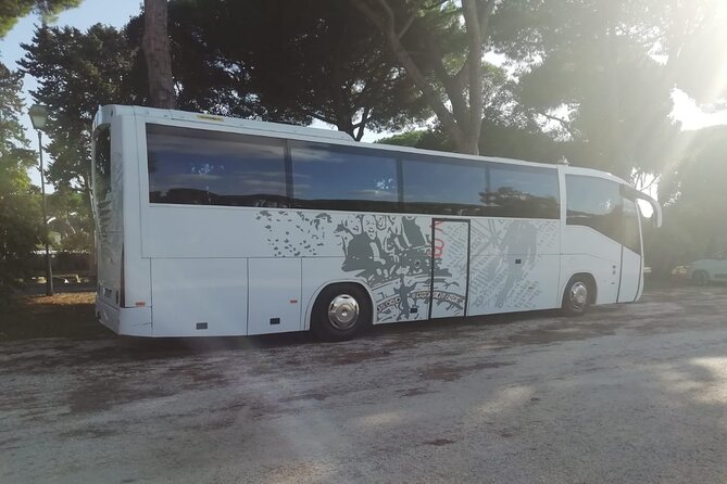 Private Bus From Ravenna Cruise Port to Venice Airport (Vce) - Experience Overview