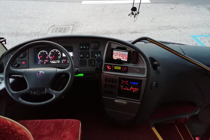 Private Bus From Ravenna Cruise Port to Venice Airport (Vce) - Group Size and Accessibility