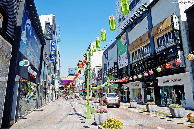 Private Busan Tour With Gamcheon Culture Village and the Temple (Customizable) - Jagalchi Fish Market