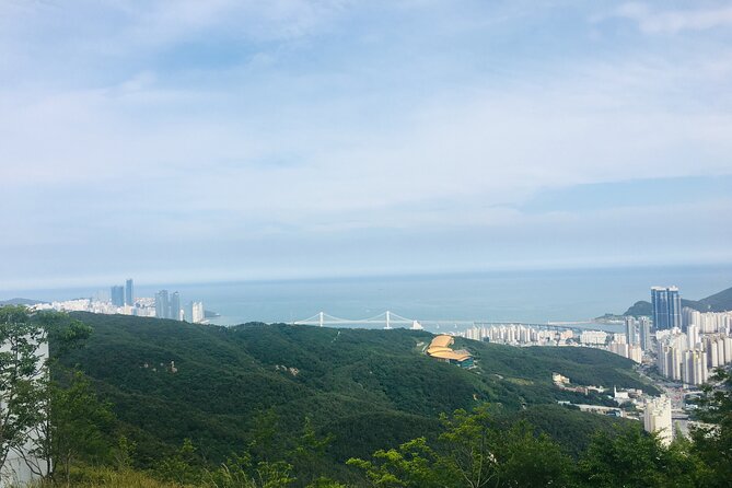 Private Busan Tour With Gamcheon Culture Village and the Temple (Customizable) - Gukje Market