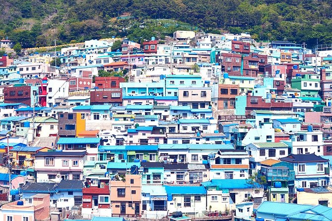 Private Busan Tour With Hidden Gem of Busan by Local Guide - Savor Local Cuisine Experiences