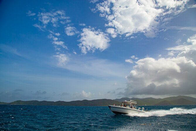 Private BVI Full Day Soggy Dollar and Willy T Tour - Who Should Consider This Tour?