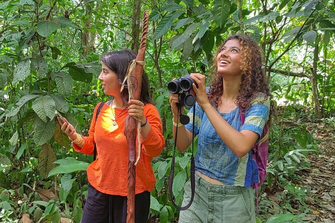 Private Cacao and Medicinal Plants Ceremony - Exploring Medicinal Plants