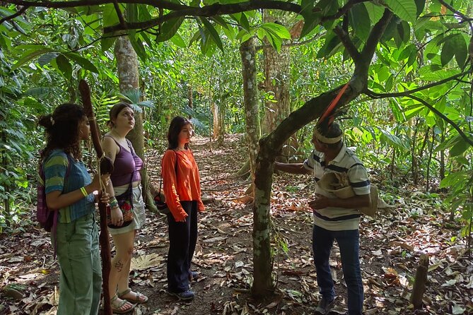 Private Cacao and Medicinal Plants Ceremony - Artisanal Cocoa Drink