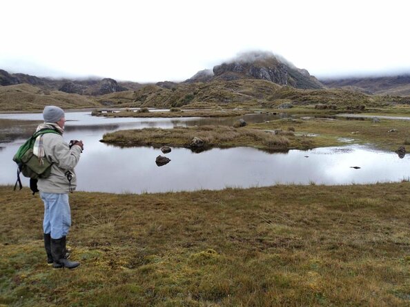 Private Cajas National Park Full Day Tour - Key Points