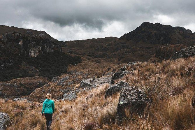 Private Cajas National Park Full Day Tour - Inclusions and Exclusions