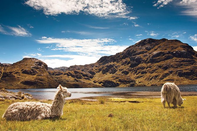 Private Cajas National Park Tour Through Cloud Forest and Moorlands - Meeting and Pickup Information