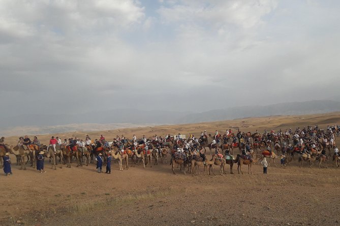Private Camel Ride in Agafay Desert - Positive Customer Reviews