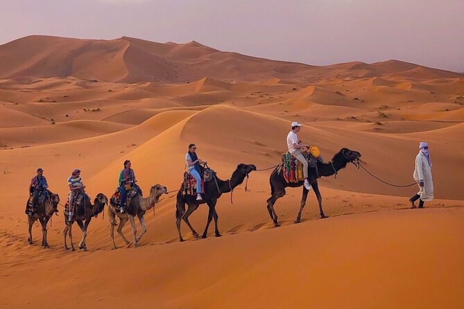 Private Camel Ride Over Erg Chebbi For Sunset Or Sunrise - Key Points