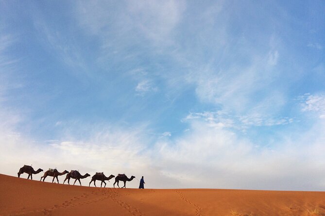 Private Camel Ride Over Erg Chebbi For Sunset Or Sunrise - Booking and Cancellation Policy
