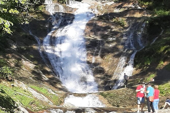 [Private] Cameron Highland Full Day Tour From KL City - Accessibility and Restrictions