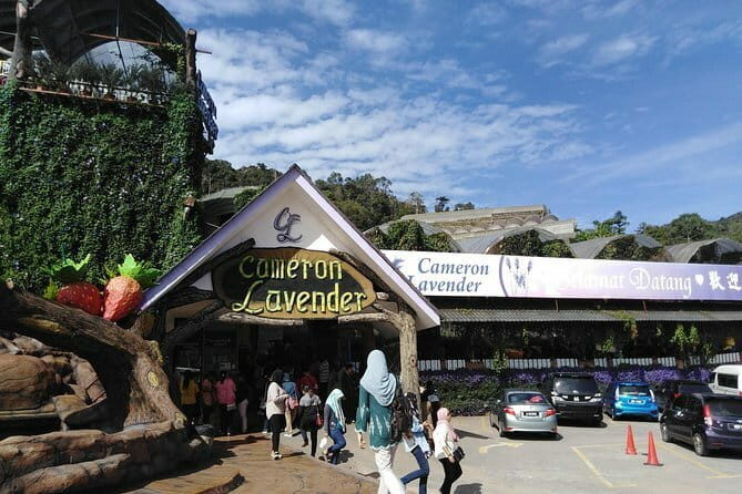 Private: Cameron Highlands 2 days 1 night Trip - FAQs