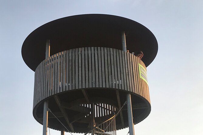 Private Canal Cruise Through Giethoorn - What to Expect