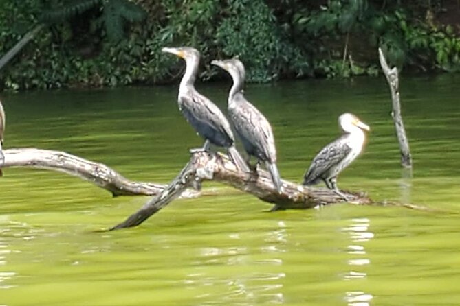 Private Canoe or Hike Tour on Lake Duluti - Meeting and Logistics