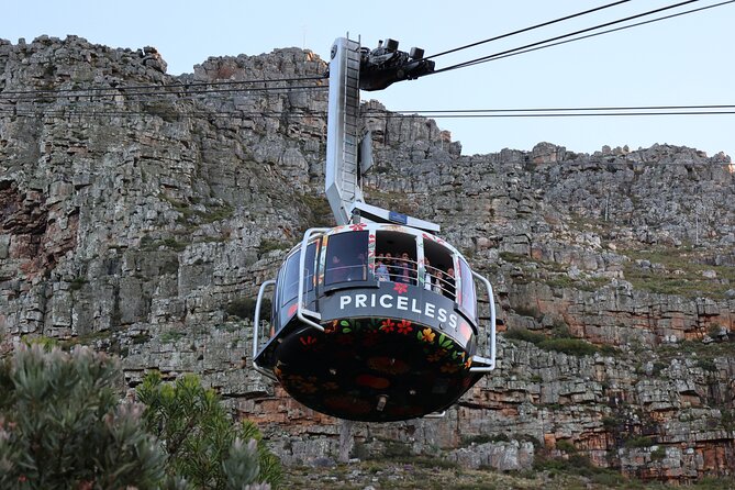 Private Cape of Good Hope Tour With Table Mountain Ticket Including Park Fees - Private Transportation