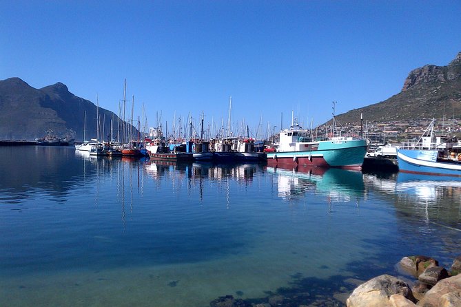 Private Cape Peninsula + Kirstenbosch Garden Full Day Guided Tour - Hout Bay Harbour